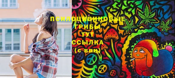 гидропоника Алексин