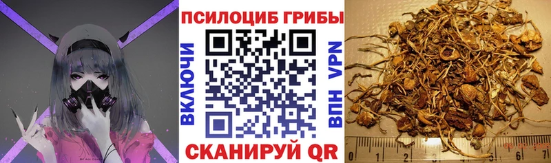 omg сайт  Сорочинск  Псилоцибиновые грибы прущие грибы 
