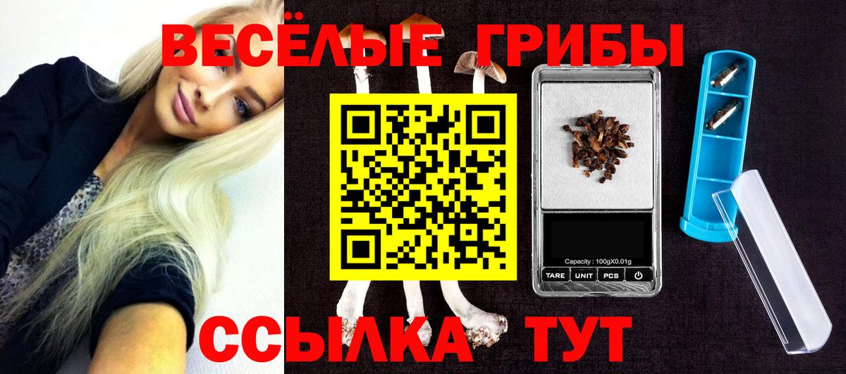 Псилоцибиновые грибы мицелий Сорочинск