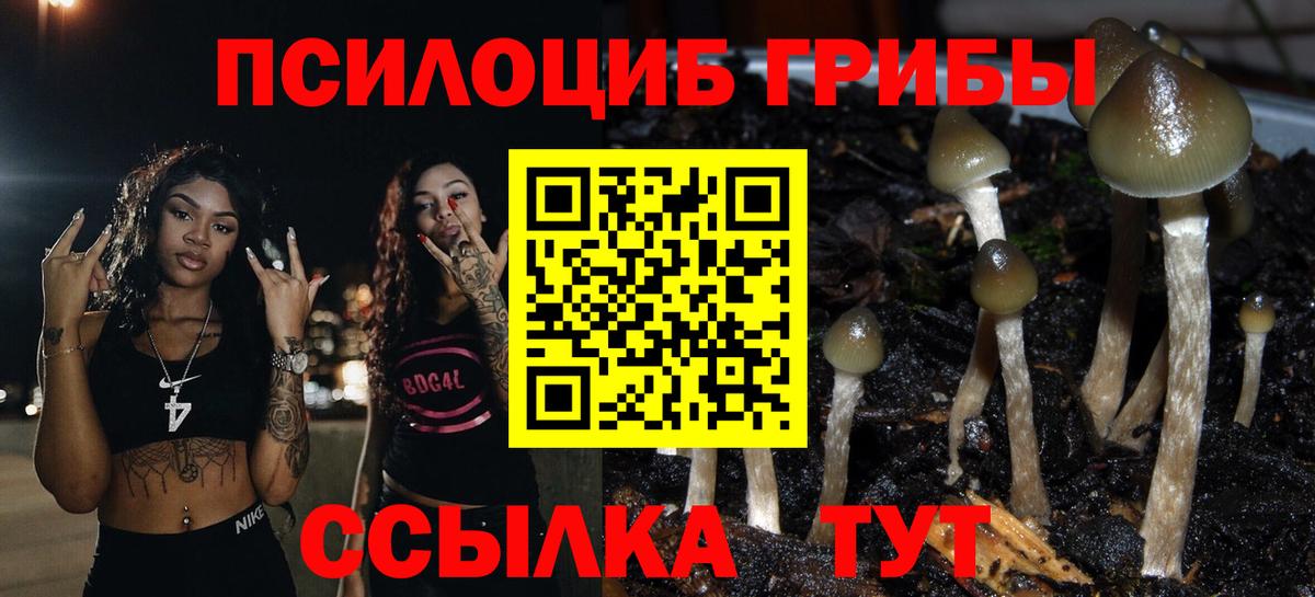 Сорочинск  Псилоцибиновые грибы ЛСД  Вход с VPN 