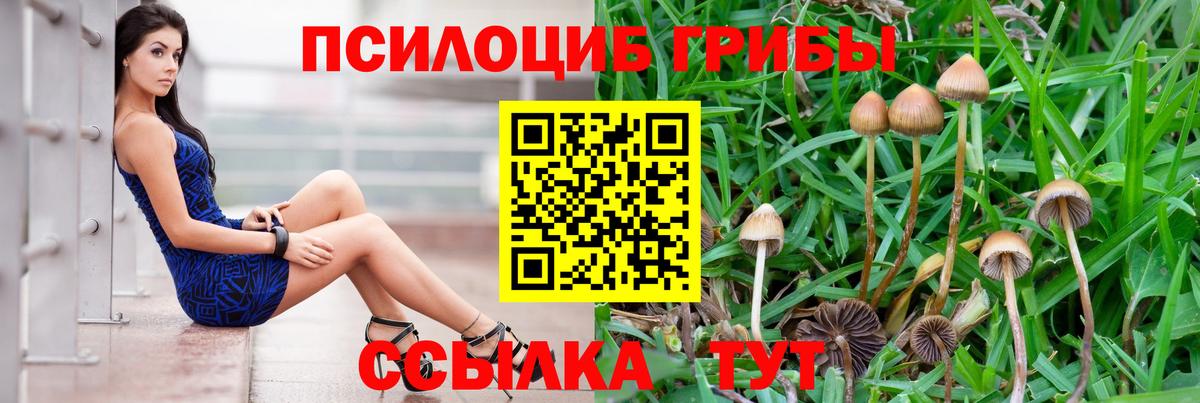 Псилоцибиновые грибы мухоморы  Галлюциногенные грибы ЛСД  Вход с VPN  Сорочинск 